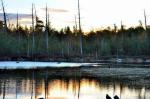 Stump Pond after&nbsp;sunset