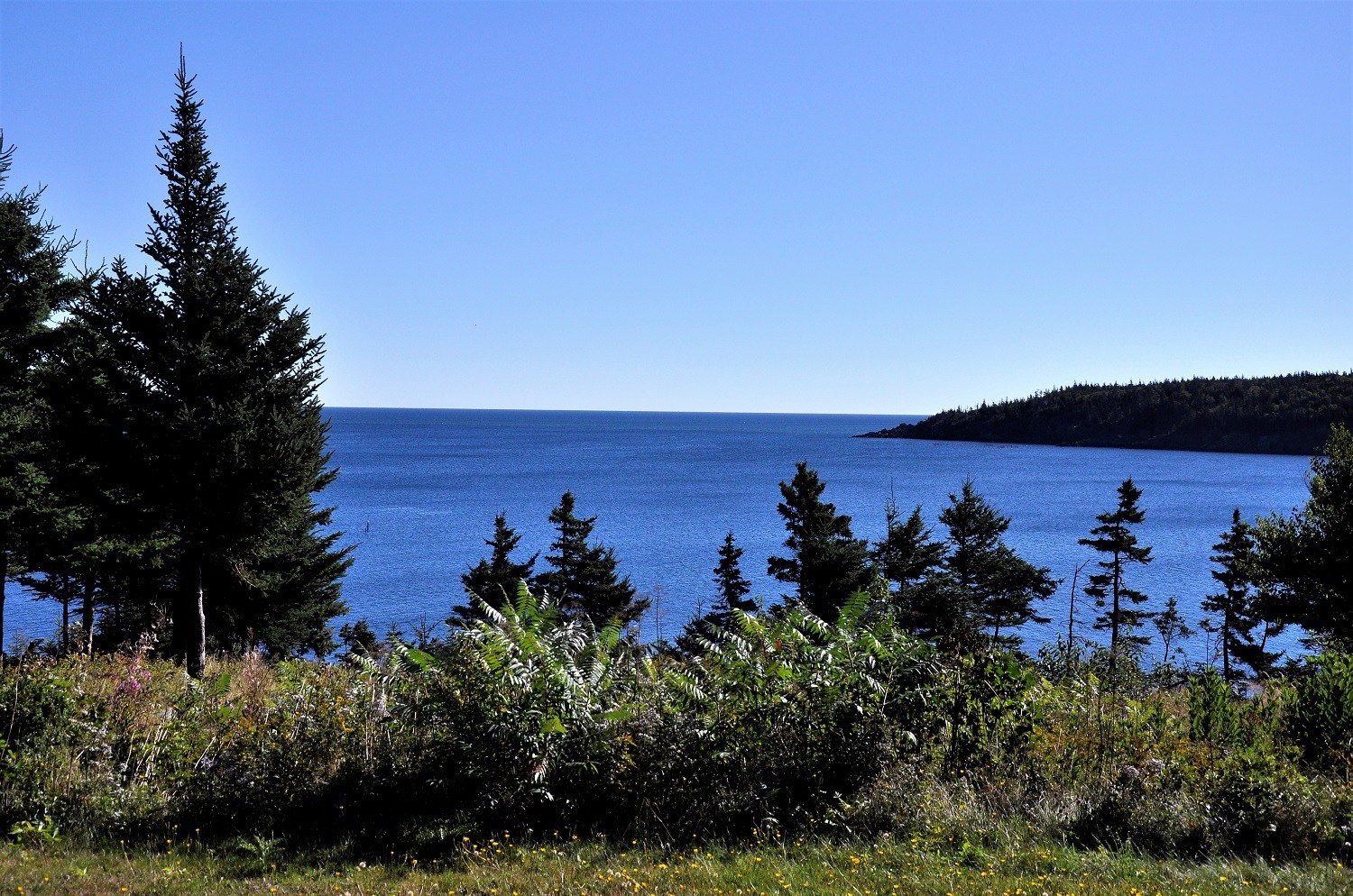 Whale Cove, North Head, Grand Manan Island, N.B. Canada